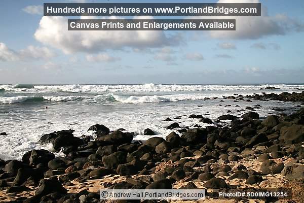 Oahu, Hawaii:  North Shore