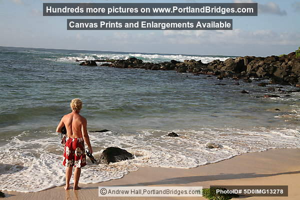 Oahu, Hawaii:  North Shore