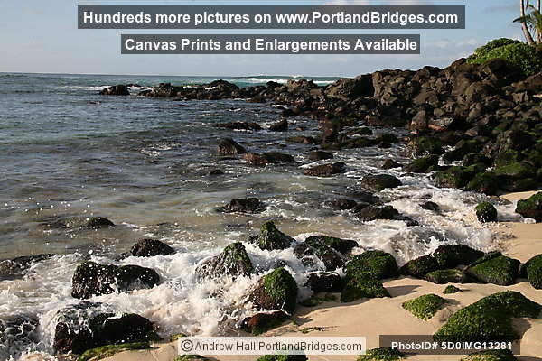 Oahu, Hawaii:  North Shore