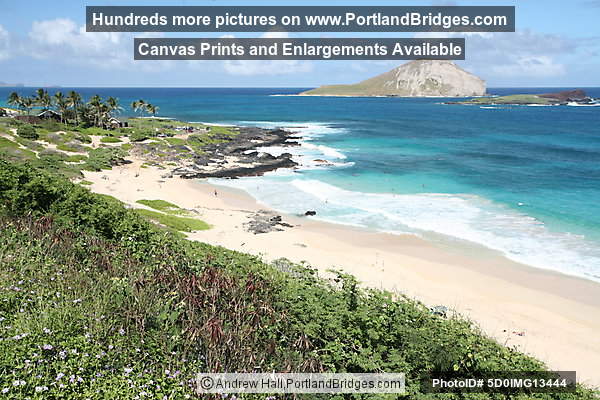 Oahu, Hawaii:  Makapu'u Beach Park