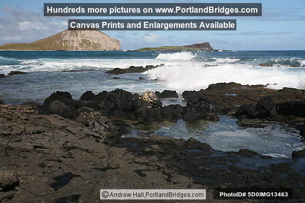 Oahu, Hawaii:  Makapu'u Beach Park
