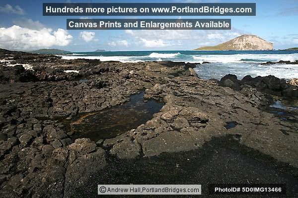 Oahu, Hawaii:  Makapu'u Beach Park