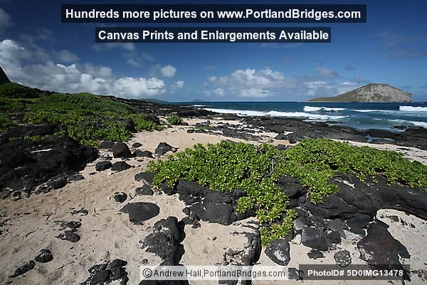 Oahu, Hawaii:  Makapu'u Beach Park