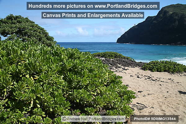 Oahu, Hawaii:  Makapu'u Beach Park
