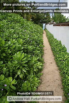 Oahu, Hawaii:  Entrance to Lanikai Beach