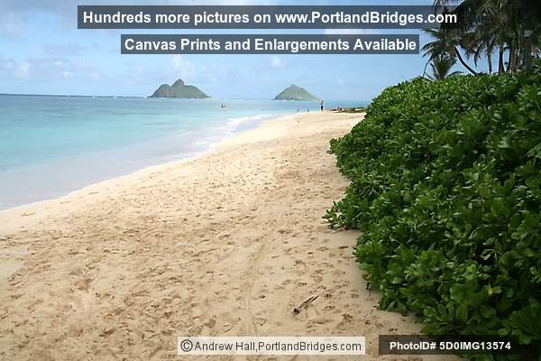 Oahu, Hawaii:  Lanikai Beach,