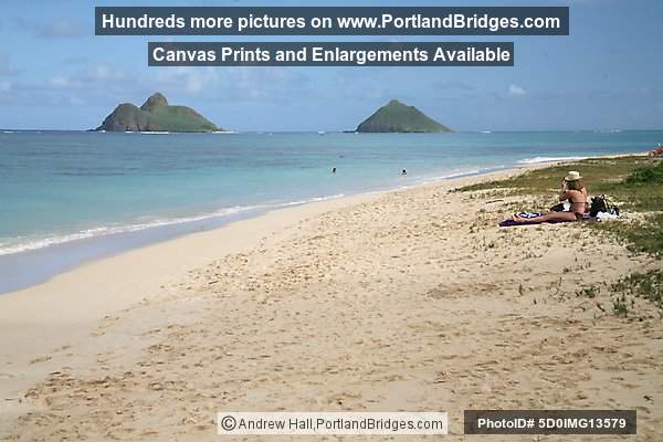 Oahu, Hawaii:  Lanikai Beach