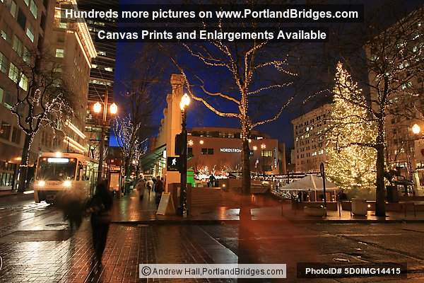 Pioneer Courthouse Square, Christmas Tree, Portland, Oregon