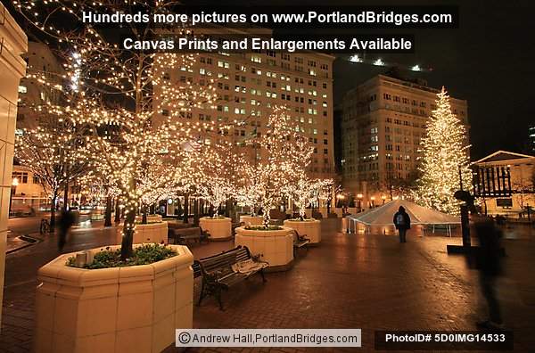 Pioneer Courthouse Square, Christmas Tree, Portland, Oregon, Max Streaking