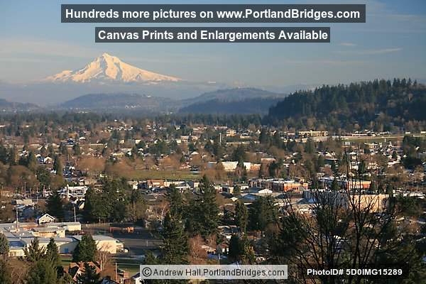 Mt. Hood, East Portland, from Mt. Tabor