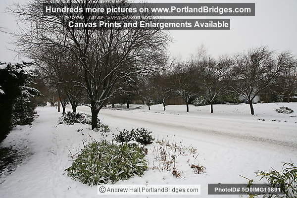 Portland Snow, Knott Street, Irvington Neighborhood