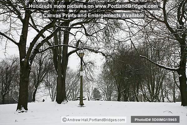 Portland Snow, Irving Park, Northeast Portland