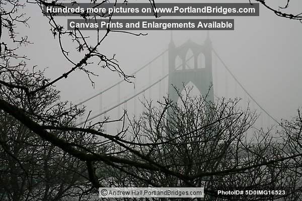 Portland St Johns Bridge Fog