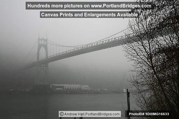 Portland St Johns Bridge Fog