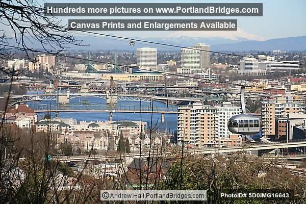 Portland Aerial Tram Mt Hood