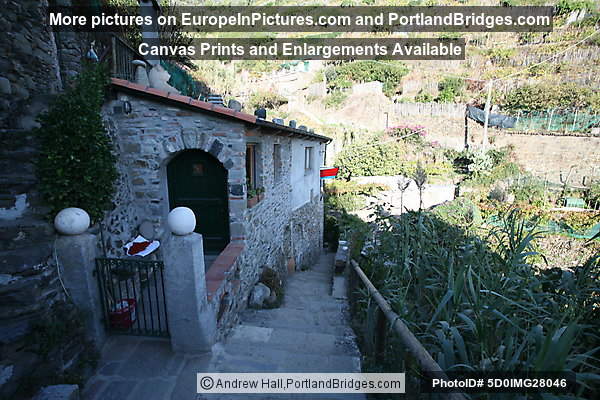Cinque Terre: Between Vernazza and Monterosso