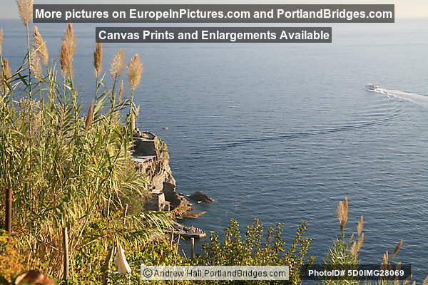 Cinque Terre: Between Vernazza and Monterosso