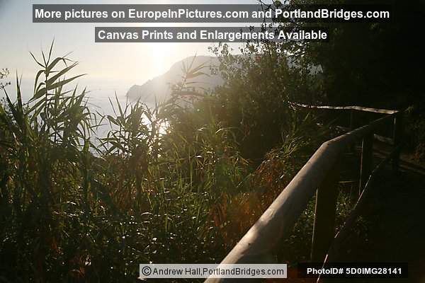 Cinque Terre: Between Vernazza and Monterosso