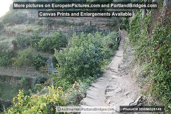 Cinque Terre:  Trail Between Vernazza and Monterosso