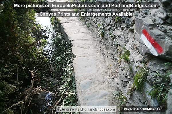 Cinque Terre: Trail Between Vernazza and Monterosso