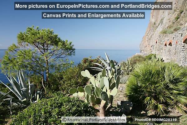 Cinque Terre: Between Manarola and Corniglia