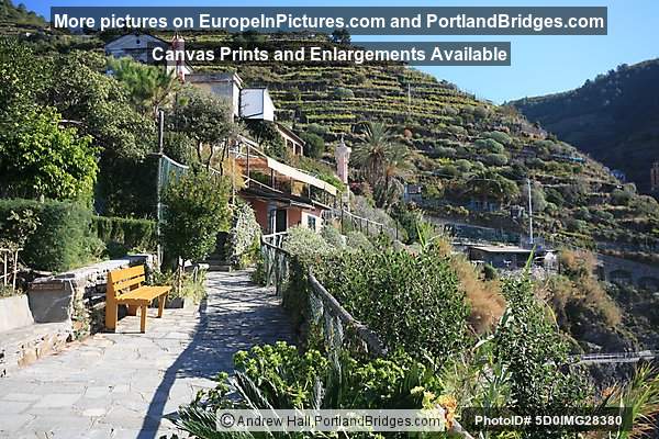 Cinque Terre: Between Manarola and Corniglia 