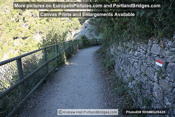 Cinque Terre: Between Manarola and Corniglia