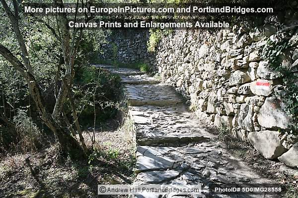 Cinque Terre: Between Corniglia and Vernazza