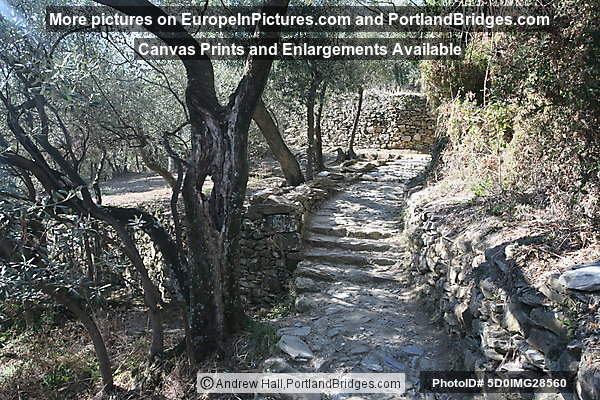 Cinque Terre: Between Corniglia and Vernazza