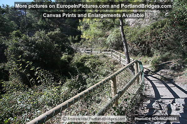 Cinque Terre: Between Corniglia and Vernazza