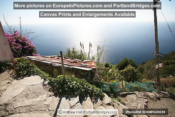 Cinque Terre: Between Corniglia and Vernazza