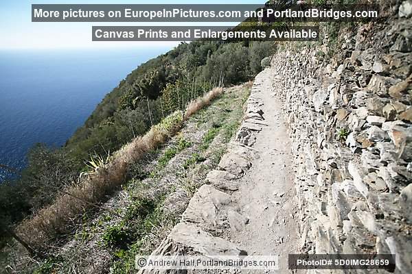 Cinque Terre: Between Corniglia and Vernazza