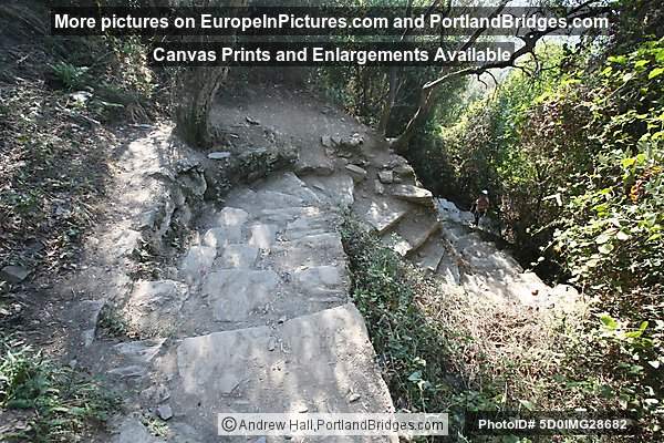 Cinque Terre: Between Corniglia and Vernazza
