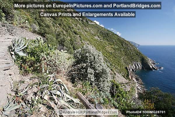 Cinque Terre: Between Corniglia and Vernazza