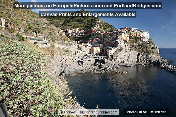 Cinque Terre: Manarola