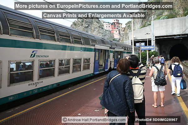 Cinque Terre: Manarola train station