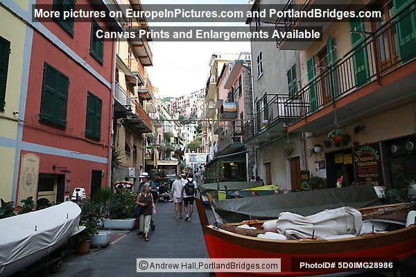 Cinque Terre: Manarola 