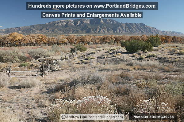 Coronado State Monument, Fall Leaves, Sandia Mountains, Albuquerque (Bernalillo) New Mexico