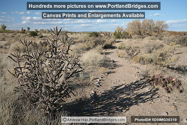 Coronado State Monument, Tiwa Trail, Albuquerque (Bernalillo) New Mexico