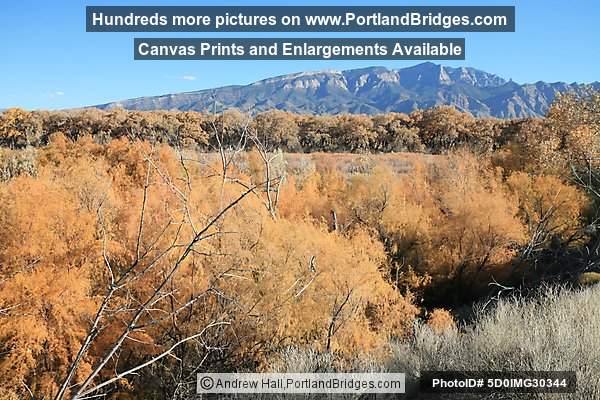 Coronado State Monument, Fall Leaves, Sandia Mountains, Albuquerque (Bernalillo) New Mexico