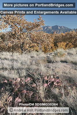 Coronado State Monument, Tiwa Trail, Albuquerque (Bernalillo) New Mexico