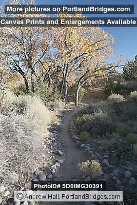 Coronado State Monument, Tiwa Trail, Albuquerque (Bernalillo) New Mexico