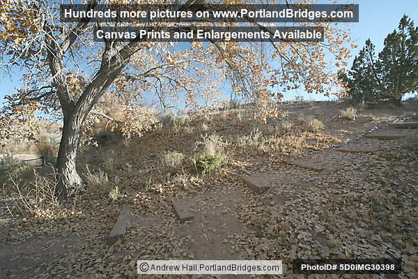 Coronado State Monument, Fall Leaves, Albuquerque (Bernalillo) New Mexico