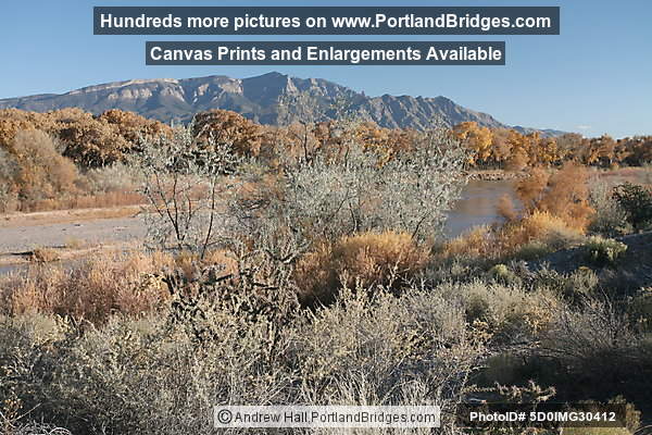 Coronado State Monument, Fall Leaves, Albuquerque (Bernalillo) New Mexico