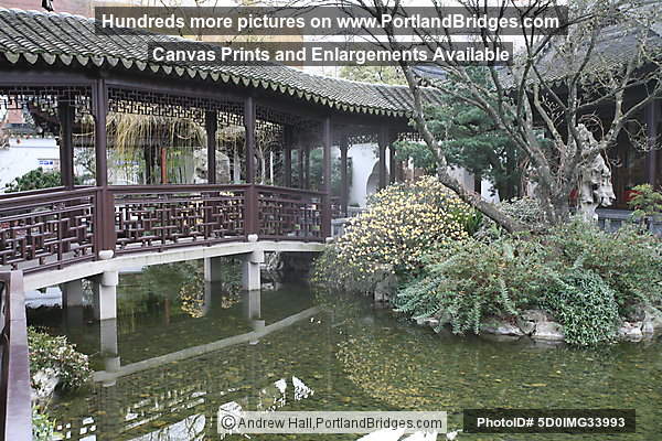 Portland Classical Chinese Garden