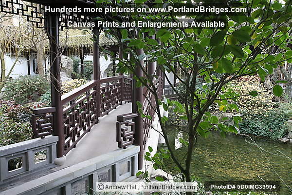 Portland Classical Chinese Garden