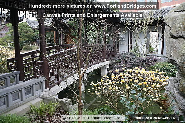 Portland Classical Chinese Garden