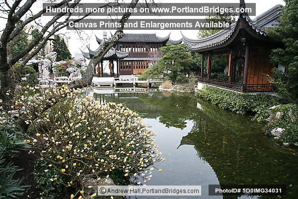 Portland Classical Chinese Garden