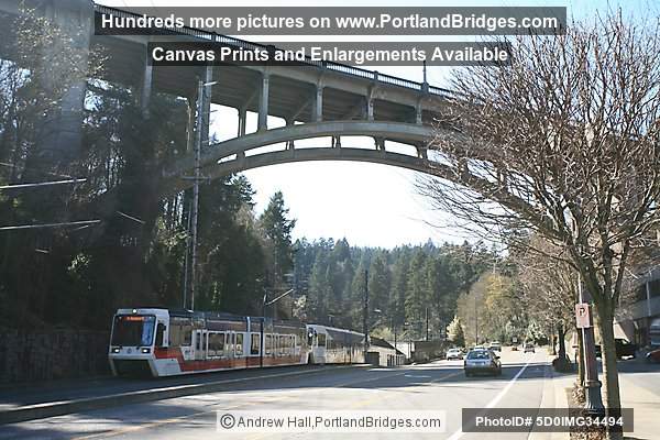 Vista Viaduct and MAX Train (Portland, Oregon)