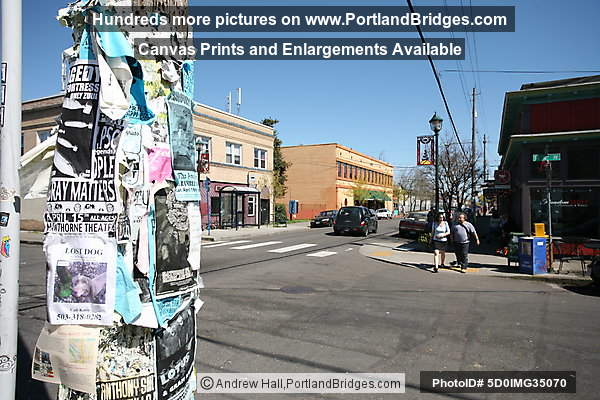 Alberta Street Random Order Coffeehouse & Bakery (Portland, Oregon)